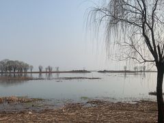 -苏州太湖国家湿地公园