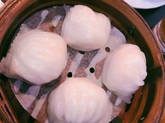 添运来虾饺皇-添运来(茶园奥园广场店)