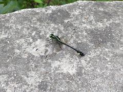 -碓臼峪自然风景区