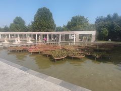 -石家庄市植物园