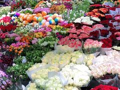 -双季花艺园艺市场(浦东店)