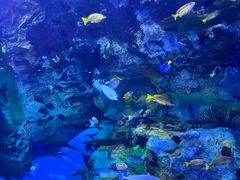 -珠海长隆海洋王国