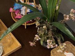 -施奈儿.洗头頭療.按摩SPA.采耳(上梅林店)