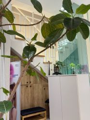 -薇薇安花系SPA