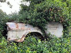-The Grounds of Alexandria