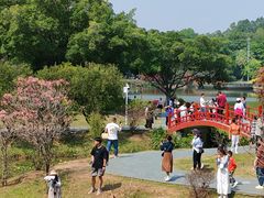 -东莞植物园