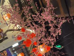 -卢大鲜鱼头捞饭(美利广场店)