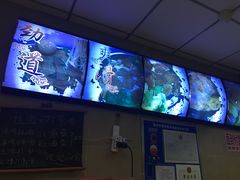 -朝阳路拉面店