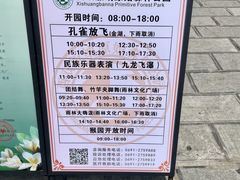 -西双版纳原始森林公园