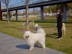 -龙美术馆西岸馆-停车场