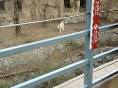 android_upload_pic-西安秦岭野生动物园