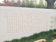 -习家池