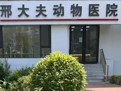 -邢大夫动物医院
