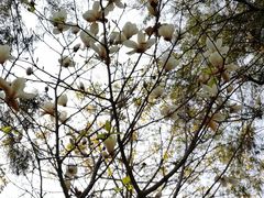 -桃花涧