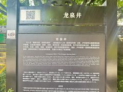-泸州老窖景区