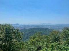 -惠山国家森林公园