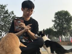 -良成狗狗乐园