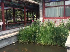 -有喜胶东小馆(太申祥和店)