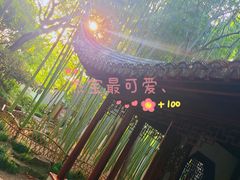 -秋霞圃