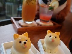 -柴犬高等学院·狗咖·柴犬售卖·宠物训练