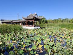 -水西公园
