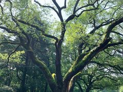 -三台山庄中餐厅