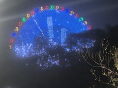 -凤岭儿童公园