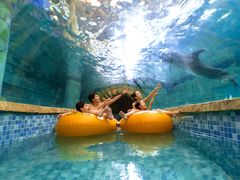 游乐设施-波塞冬旅游度假区