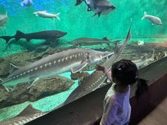 -太平洋海底世界