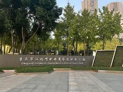 -重庆市江北嘴中央商务区中央公园