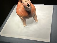 -山东博物馆