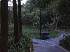 -燕晗山郊野公园
