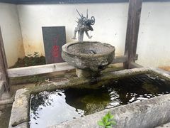 -东方艺术博物馆