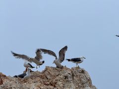 -石槽海滨浴场