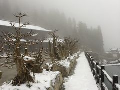 -鹿院坪生态旅游景区
