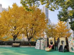 -苏州河梦清园环保主题公园