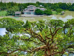 -江心屿景区
