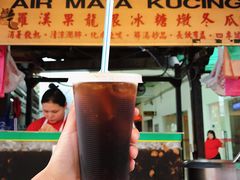 -罗汉果龙眼冰糖燉冬瓜