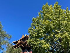 -东华门大街小区
