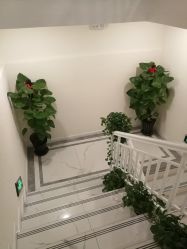 -金都微美·精准护肤·疗愈SPA