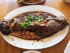 铁锅鱼-青英餐厅