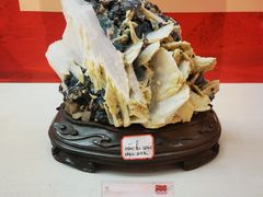 -中国地质博物馆