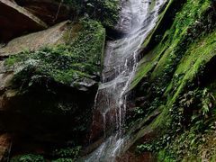 -碧峰峡风景区