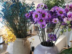-春暖花开(西溪店)