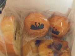 -BLACKSWAN黑天鹅(环球店)