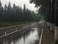 -辽宁大厦