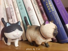 -泡泡玛特POPMART(苏州诚品生活店)