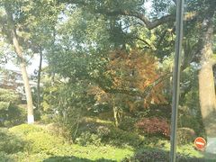 -浙江西子宾馆·瑶园咖啡厅