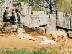 -北京野生动物园