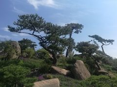 -罗红摄影艺术馆